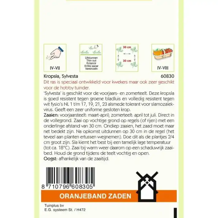 Schneller Versand Kopfsalat Sylvesta 0,4g