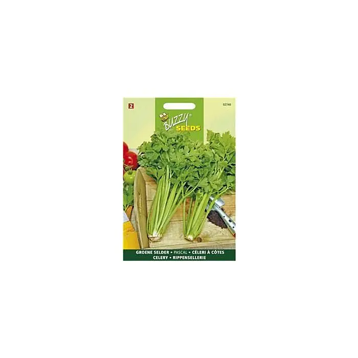 Heißes Angebot Buzzy® Rippensellerie Pascal