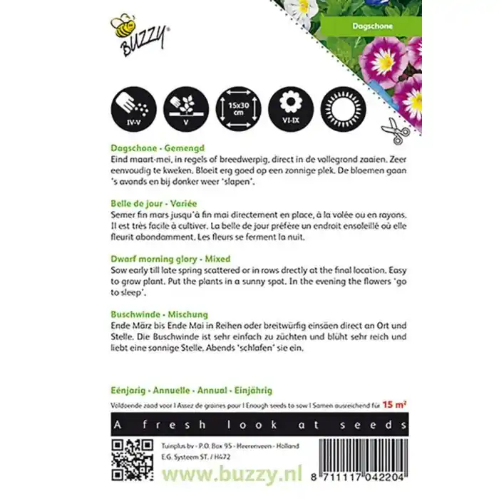 Buzzy® Convolvulus, Dagschone gemengd Nur Heute