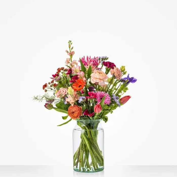 Schnäppchen Buntes Frühjahr