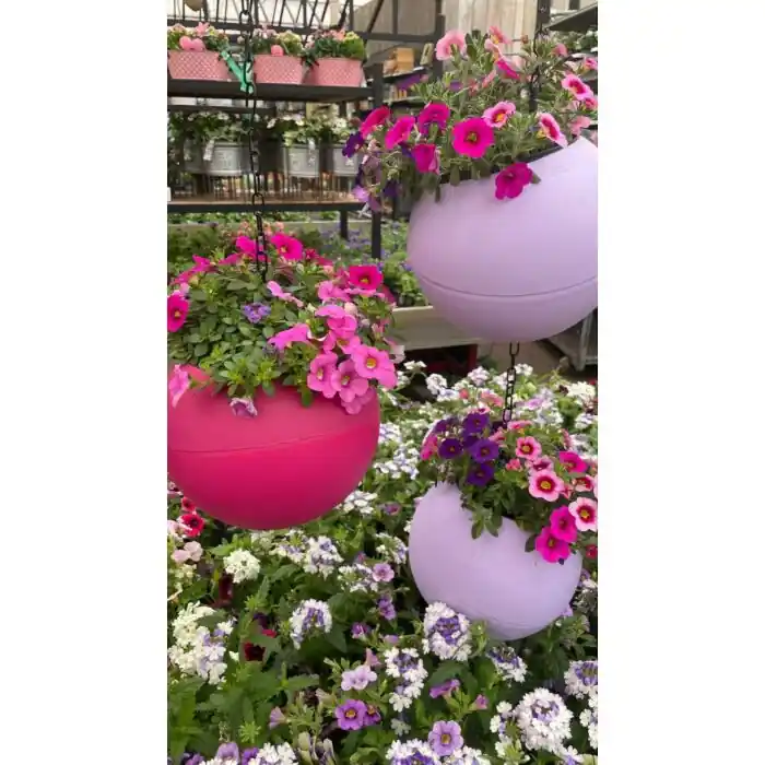 Kracherpreis Globee multi Blumentopf rosa