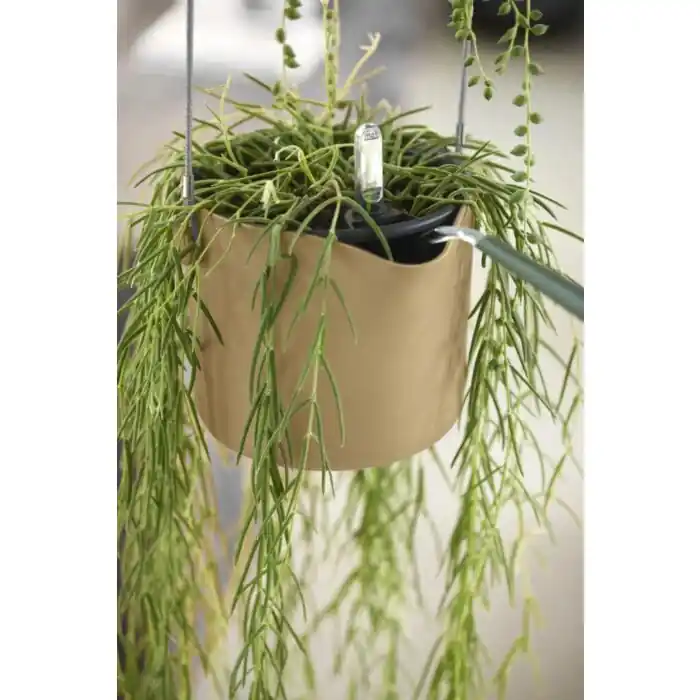 Sale Blumentopf B.for Swing goldfarbener Sand Ø 18 cm - Elho