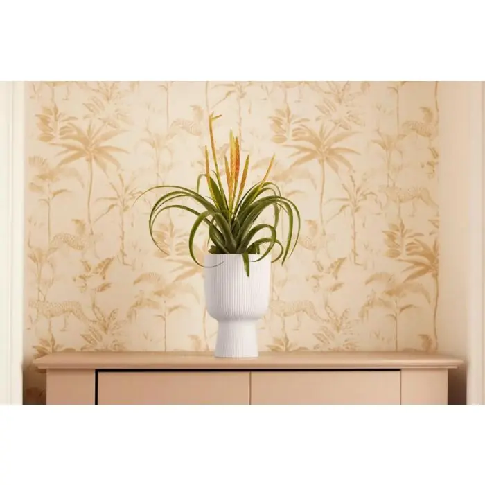 Solange Der Vorrat Reicht Schale Vibes Fold leinenweiß Ø 14 cm - Elho