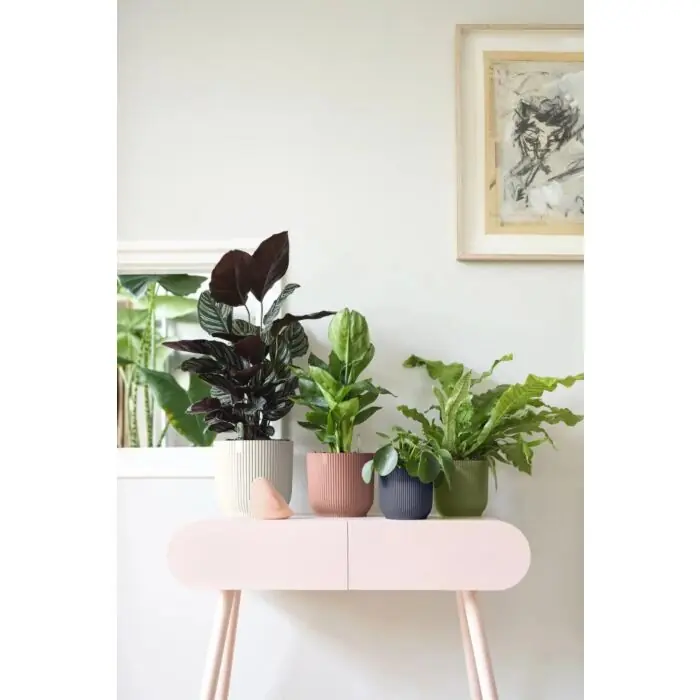 Blumentopf Vibes Fold rund anthrazit Ø 14 cm - Elho Neuheit