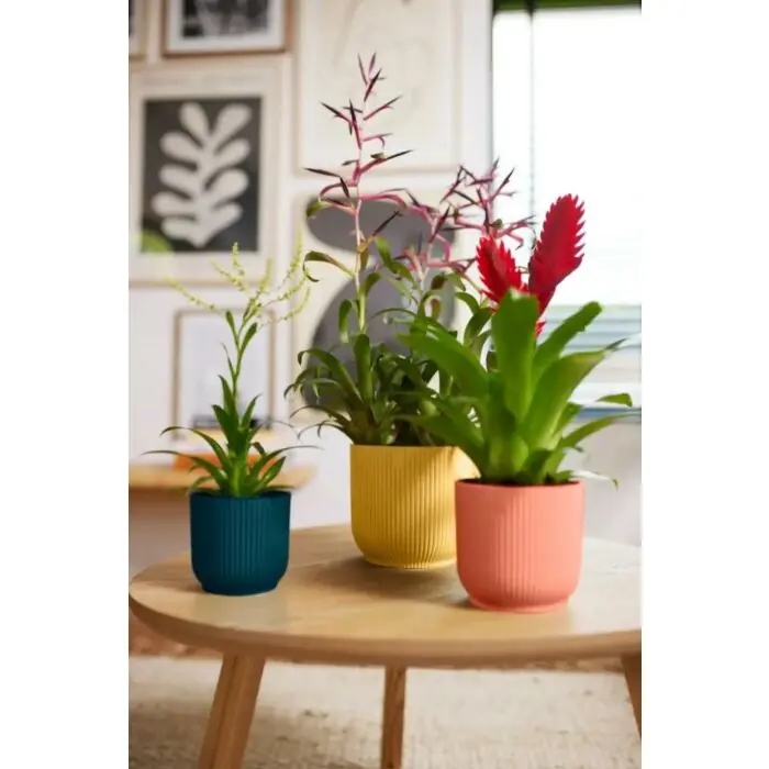 Rabatt Blumentopf Vibes Fold rund rosa Ø 25 cm - Elho