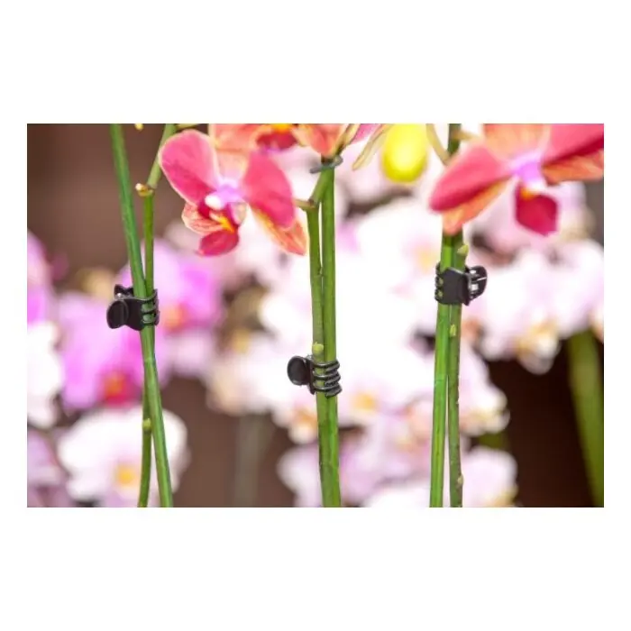 Kracherpreis Orchidee clips schwarz Set 10 Stück