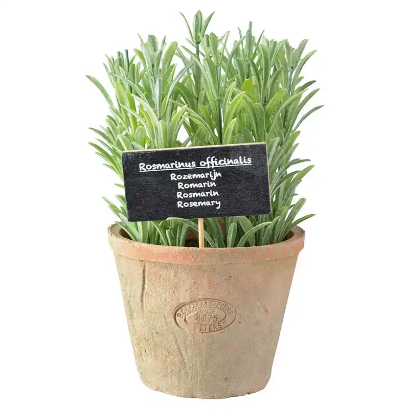 Mega-Angebot Esschert Kunst-Rosmarin in Aged Terracotta Topf L - Garten Online Shop & Weber Grill Store
