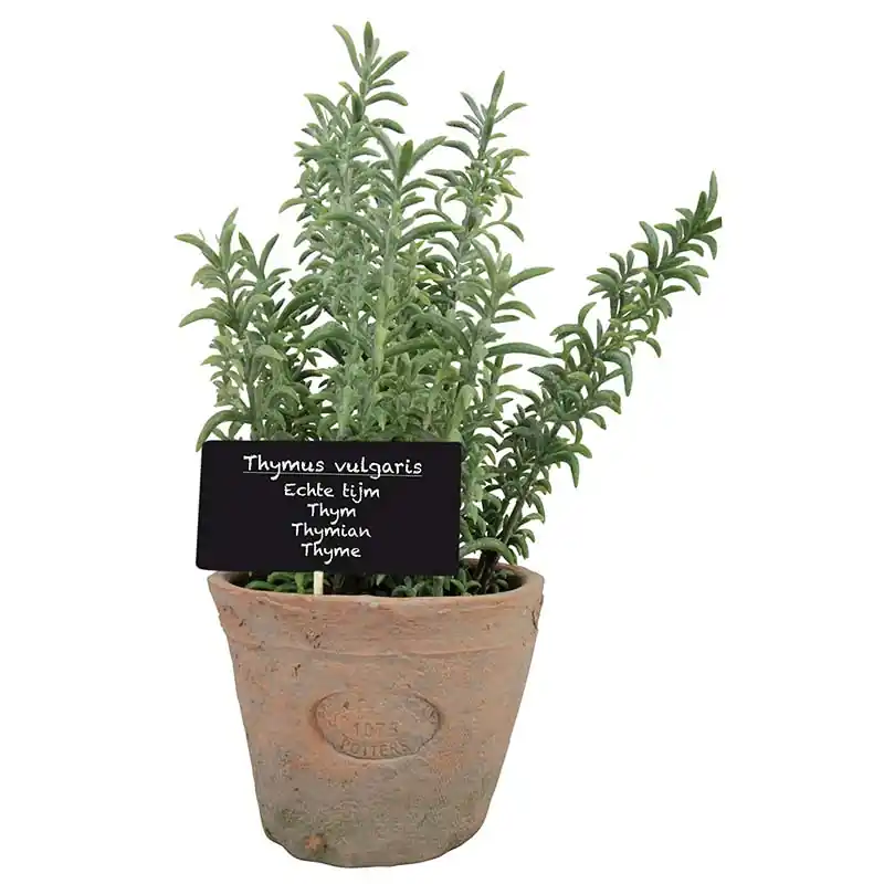 Bestseller Esschert Kunst-Thymian in Aged Terracotta Topf L - Garten Online Shop & Weber Grill Store