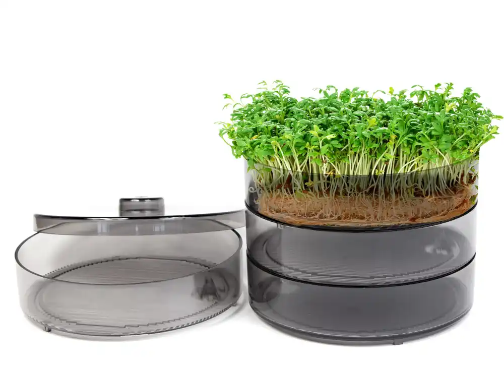 mgc24 Keimbar (Sprossenbowl) - Garten Online Shop & Weber Grill Store Nur Heute