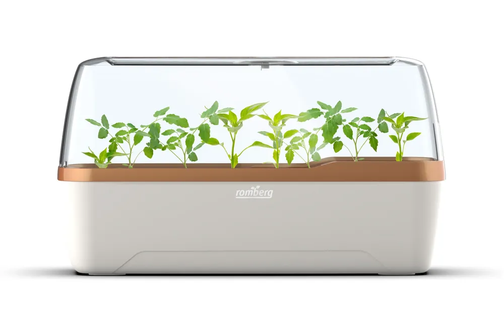 Romberg BOQUBE Gewächshaus & Pflanzkasten-System 41x17x23cm mit Belüftung creme/kupfergold - Garten Online Shop & Weber Grill Store Nur Heute