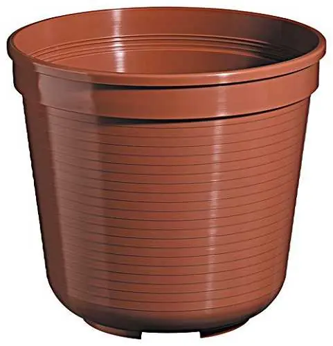 Letzte Chance Geli Blumentopf Standard 32 cm terracotta - Garten Online Shop & Weber Grill Store