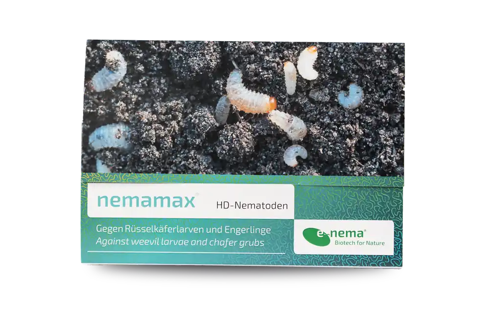 Preis Gesenkt nemamax Dickmaulrüsslerbekämpfung bei niedrigen Temperaturen 25 Mio. - Garten Online Shop & Weber Grill Store