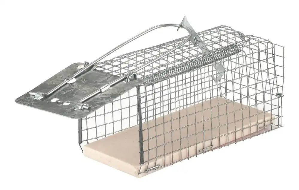 Mausefalle Drahtkäfig MouseCage, 1 Eingang Begrenztes Angebot