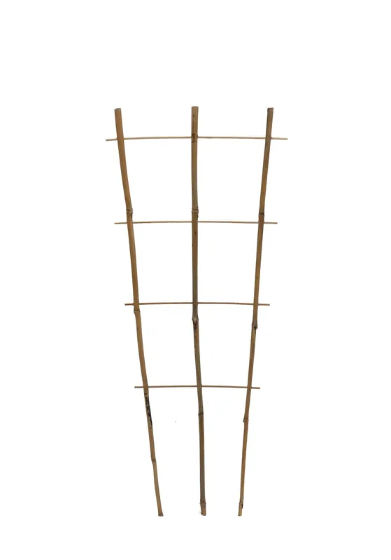 Pflanzengitter Classic H=75cm, Bambus Gratis Versand