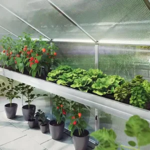 Bestseller Pflanzwanne für Tulpe IV