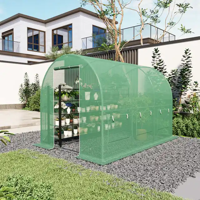 Ausverkauf KONIFERA Foliengewächshaus »El Ejido« robust und wetterfest + Tür , Aufzucht Tomaten BxTxH: 196x296x200cm