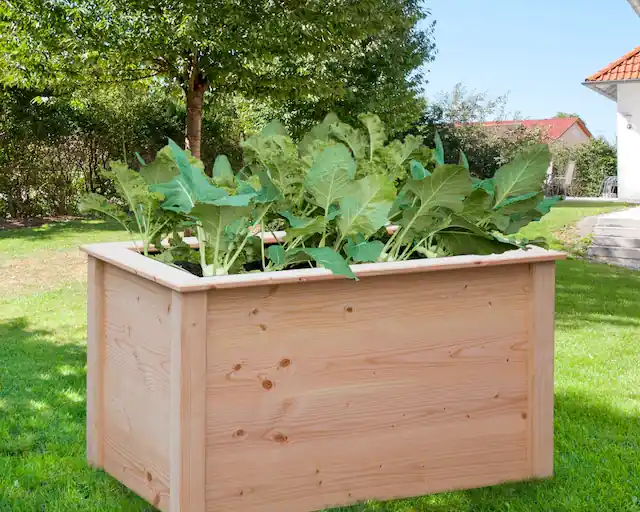 BM Massivholz Hochbeet »Douglasie« BxTxH: 106x65x60 cm, naturbelassen Kostenloser Versand