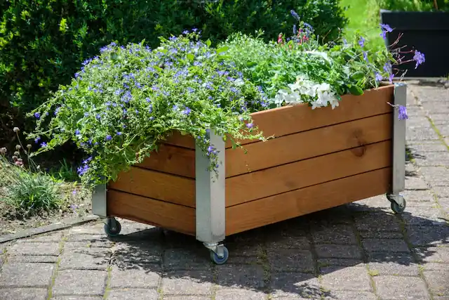 Sofort Bestellen dobar Hochbeet »Rollfi« FSC®-zertifiziertes Kiefernholz, wetterfest lasiert, mit Rollen