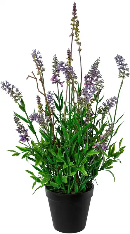 Creativ green Kunstblume »Lavendel im Topf 48cm hoch« Kunstpflanze täuschend echt mit filigranen Blüten Nur Für Kurze Zeit