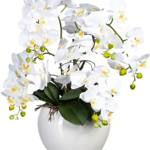 Preisreduziert Creativ green Kunstorchidee »Phalaenopsis im Keramiktopf«