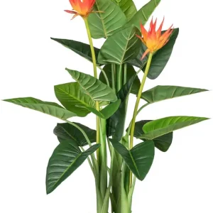 Top-Angebot Creativ green Kunstpflanze »Guzmania«