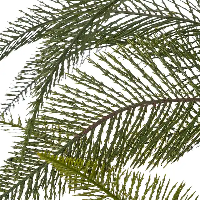 Kostenloser Versand Creativ green Kunstpflanze »Farn Alsophila australis« mit naturgetreuen Farnwedeln