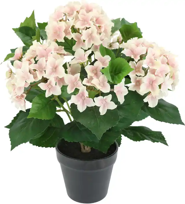 Top-Preis OTTO home Kunstblume »Künstliche Hortensie im Topf« 40cm Realistische Kunstpflanze Blumen Deko Blumen Pflanzen