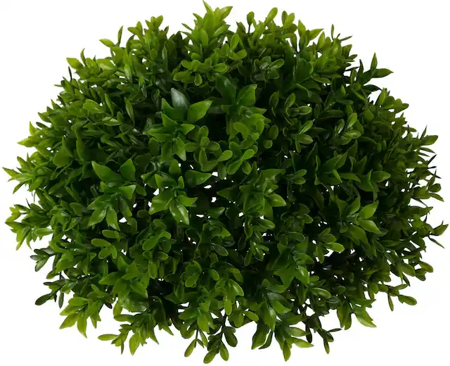 Versand Am Gleichen Tag Creativ green Kunstpflanze »Buchsbaumhalbkugel«