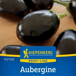 Kracherpreis Aubergine Kaberi, F1 Preisgruppe O