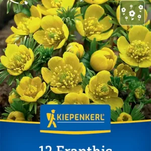 Winterling Preisgruppe Rot Bestseller