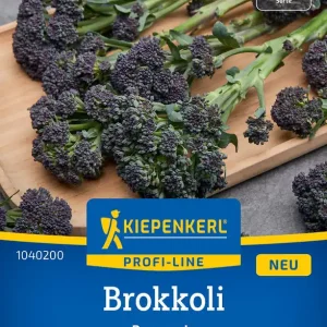 Kostenfreie Lieferung Brokkoli Burgundy, F1 Preisgruppe O
