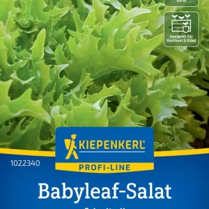 Bestpreis Babyleaf-Salat Crispita II Preisgruppe N