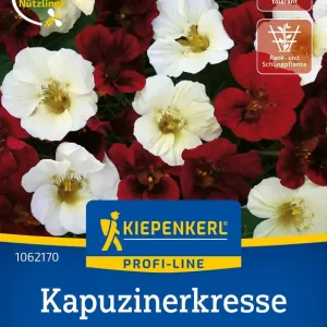Kapuzinerkresse Night & Day Preisgruppe K Abverkauf