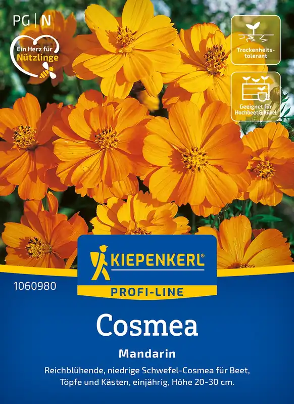 Super-Preis Cosmos Mandarin Preisgruppe N