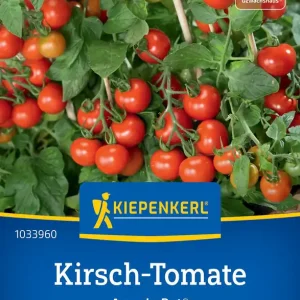 Kirsch-Tomate Ampelo Rot®, F1 Preisgruppe O Nur Heute