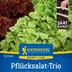 Garantierte Lieferung Pflücksalat-Trio Loka, Vili, Kyrio, Saatband, Preisgruppe O