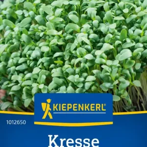 Kresse Glatte großblättrige Preisgruppe C Sonderaktion