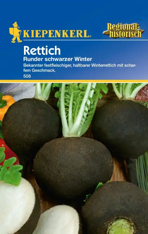 Neue Ware Rettich Runder schwarzer Winte Preisgruppe C