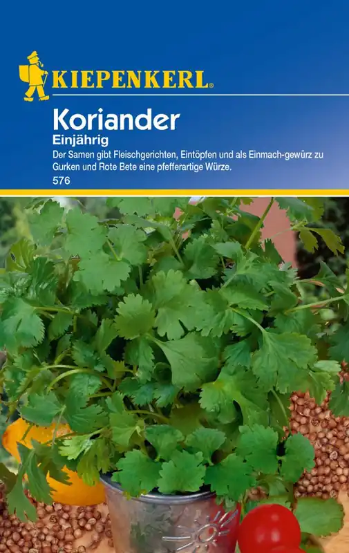 Koriander Einjährig Preisgruppe B Finale Aktion