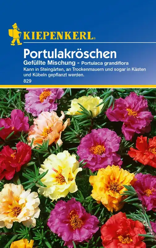 Portulakröschen Preisgruppe B Wochenendangebot