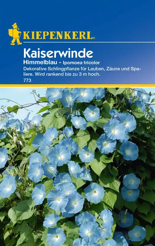 Highlight Ipomoea Himmelblau Preisgruppe C