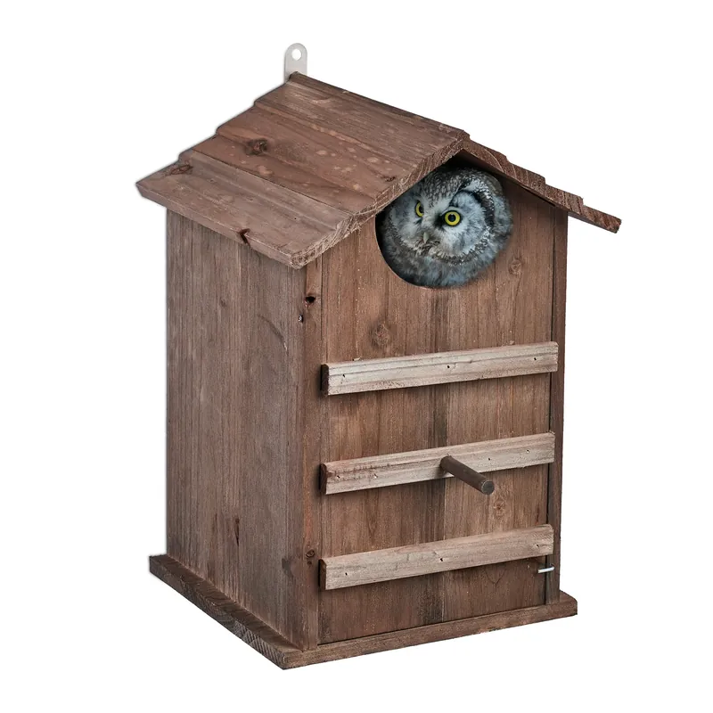 Aktuell Eulen Nistkasten Holz