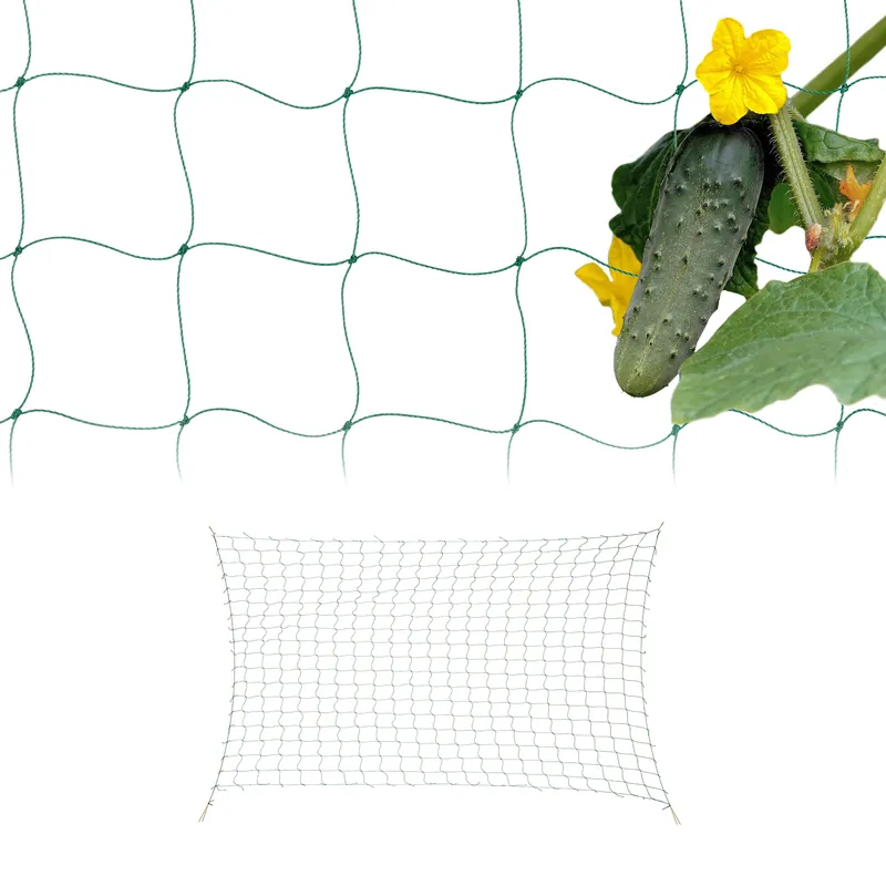 Ranknetz 200 x 500 cm 2er Set Günstig