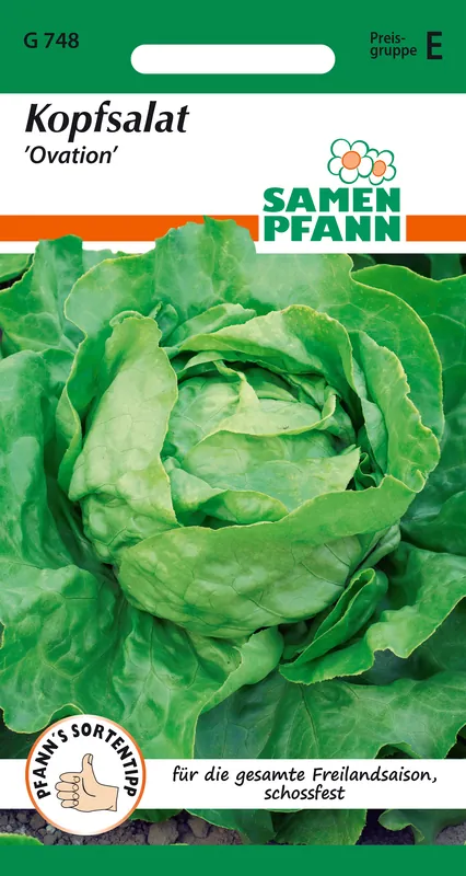 Kopfsalat Samen ‘Ovation‘ - Samen Pfann Neu Im Sortiment