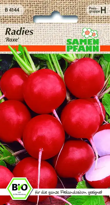 Bio Radies Samen ‘Raxe‘ - Samen Pfann Schnäppchen