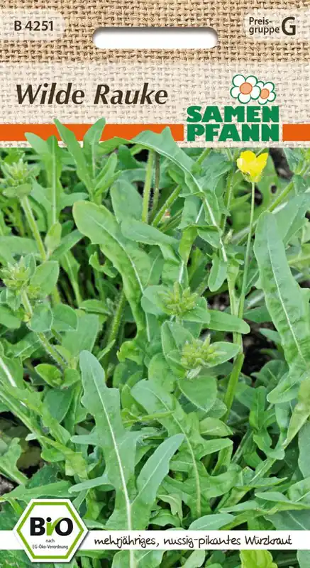 Kostenloser Versand Bio Wilde Rauke Samen- Samen Pfann