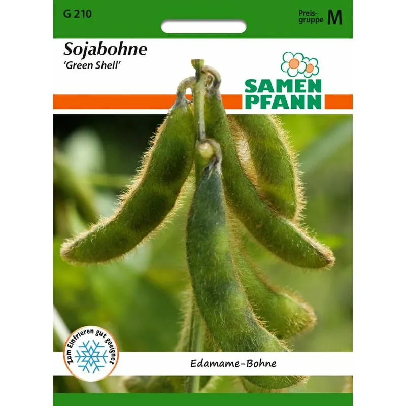 Sojabohnen Samen ‘Green Shell‘ - Samen Pfann Mega-Angebot