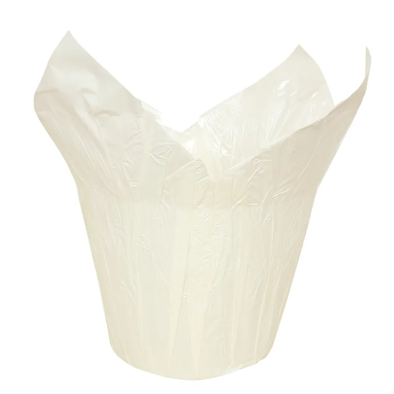Papiertopf "Wraps" Ø 25 cm weiß Billig