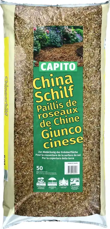 Rabatt Chinaschilf Capito 50 l