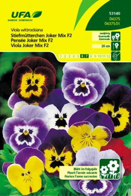 Viola Joker Mix UFA Expressversand